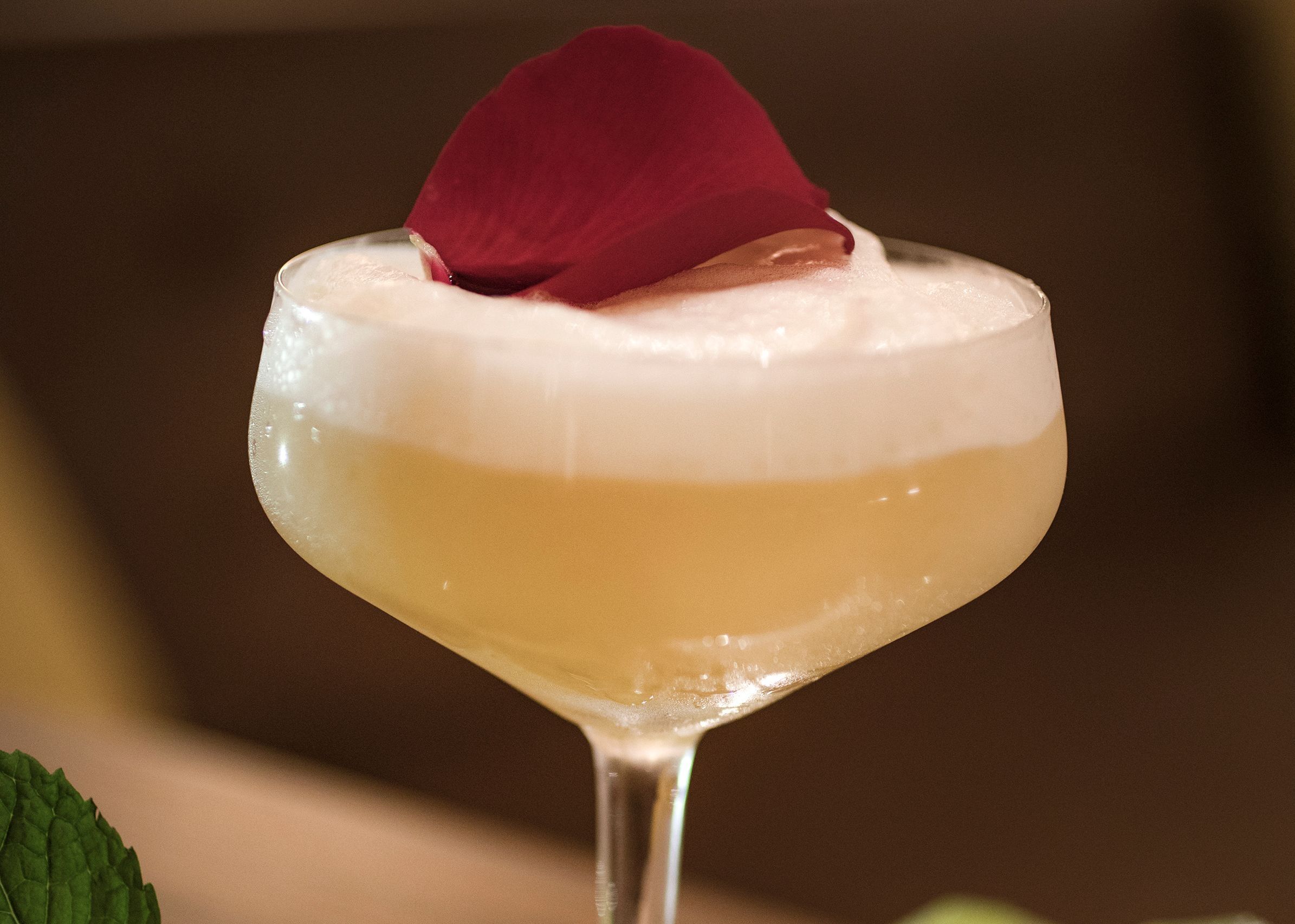 Fancy cocktails Blanc Lobby bar