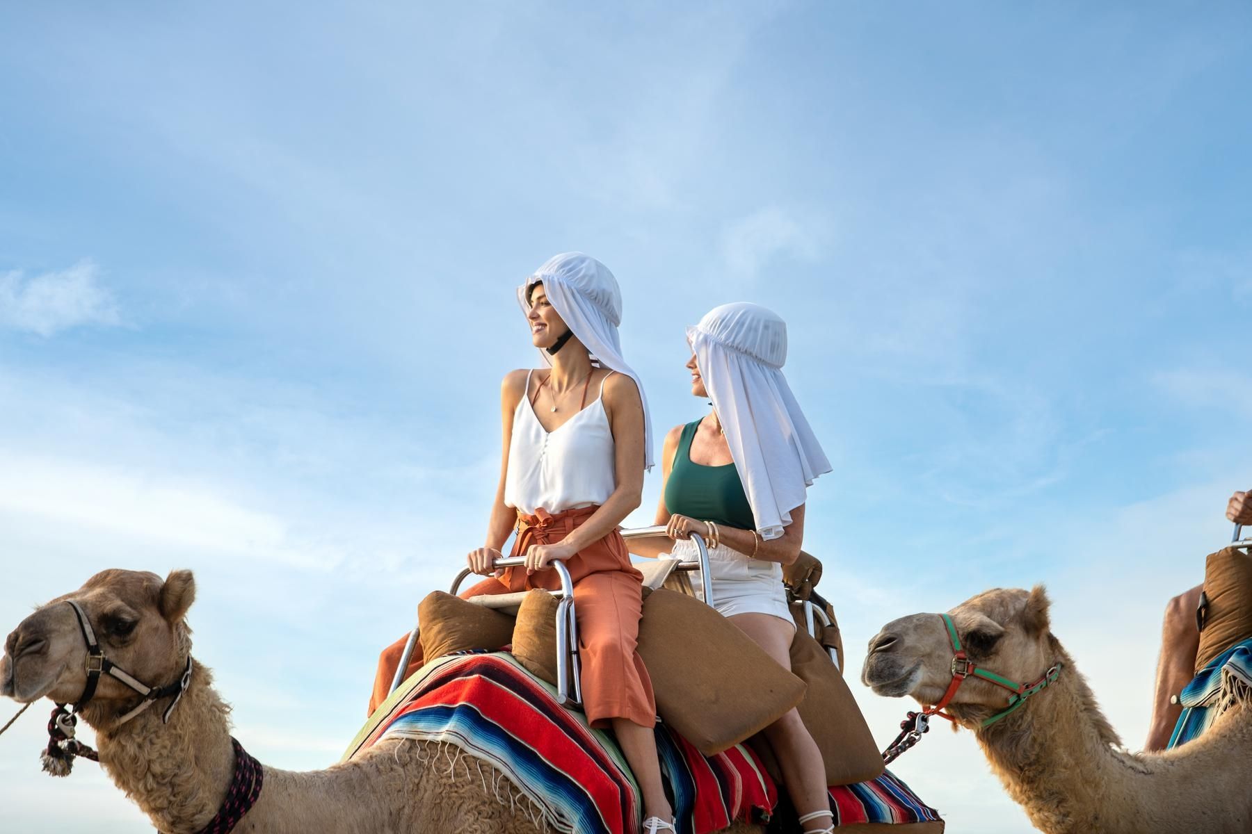 Outback camel ride excursion